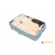 Rabbits BOX - M (4 x 2-3kg rabbits per box)