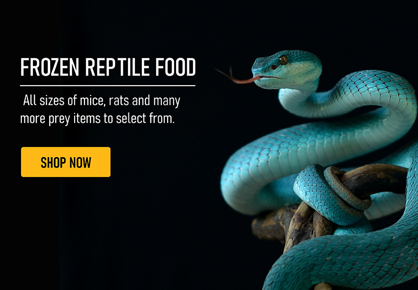 Reptile Food