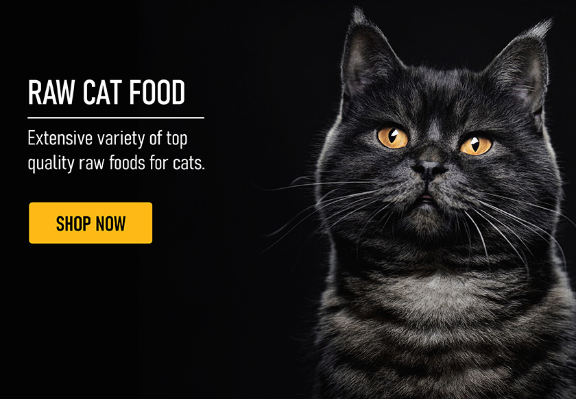 Cat Food