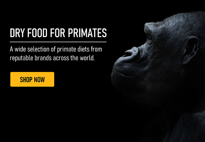 Primates