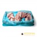 Duck Carcass (14 pcs) +/- 7kg box
