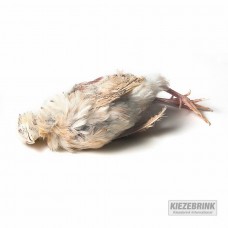 Quail - Bag of 5