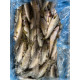 Salmon Parr LARGE (25-40gm) 5kg block