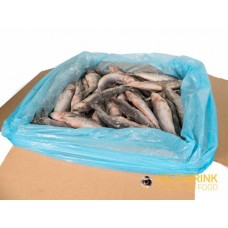 Sardines IQF - 10kg Box