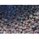 Blackberries IQF - 10kg box