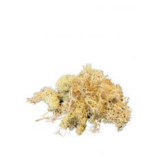 Reindeer Lichen - 3kg