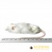 Jumbo Mouse - (+30gm) - pack of 25