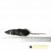 Regular Mouse - (15-22gm) - pack of 25