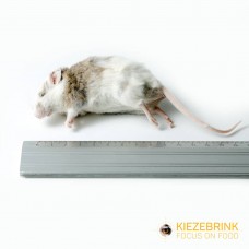 Multimammate Mouse - (+/- 30gm) - pack of 10