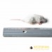 Small Mouse - pack of 10 - (6-15gm)