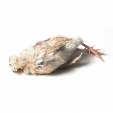 Ex Layer Quail - Bag of 5