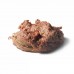 Alaska Dog - Horse - Bulk Box (10 x 800gm)