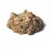 Alaska Dog - Salmon (800gm)