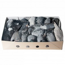 Pigeons (Wild, Wood Pigeon) - Box of 10