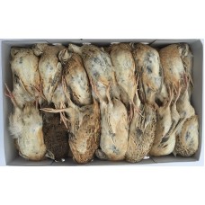 Quail (+/- 220gm) - Box of 25