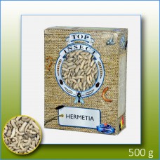 Cali-Worms (Hermetia) - Black Soldier Flies - 1 litre box