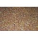 Carrot Pieces IQF (10x10mm) - 10kg box