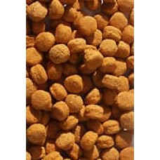 Versele-Laga - H16 Hornbill Maintenance & Breeder - 10kg