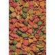 Versele-Laga - P15 Parrot Maintenance Tropical - 10kg