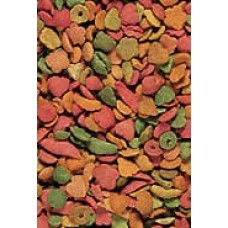 Versele-Laga - P19 Parrot Breeder Tropical - 10kg