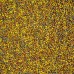Wisbroek - Lory Daily - 10kg