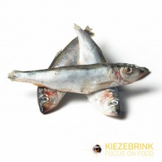 Herring IQF - 10kg - Bulk Box